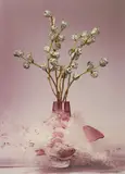 Martin Klimas, Ohne Titel (Eucalyptus), 2007, Inkjet-Print