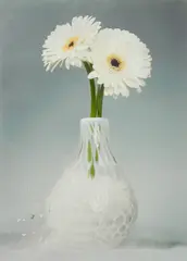 Martin Klimas, Ohne Titel (Gerbera), 2007, Inkjet-Print