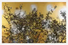 Stefan Sehler, Ohne Titel, 2008, Öl und Acryl hinter Acrylglas auf Maße: 200 x 300cm