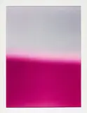 James Welling, IPNI
