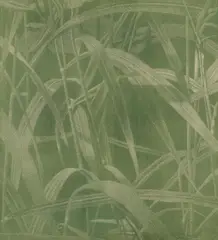 Gräser I by Franz Gertsch, 1999/2000, Holzschnitt auf Kumohadamashi-Japan von Ivano Heizaburo, sold Nov 2022
