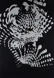 Otto Piene, Ohne Titel (Serigrafie nach Lichtballettfoto), 1972, Farbserigrafie auf schwarzem Karton
