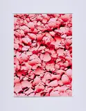 Jennifer López Ayala, Ohne Titel, 2016, C-Print