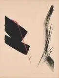 Toko Shinoda, Blessind
