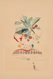 Cérises Pierrot (Aus: Flordali Les Fruits) by Salvador Dalí, 1969/70, Farbradierung und Pochoir auf Richard de Bas (Wasserzeichen), sold Oct 2021