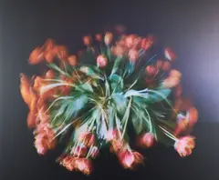 Michael Wesely, Stillleben (9.5.-16.5.20), 2020, Inkjet-Print