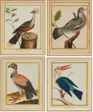 François Nicolas Martinet, Auktion 479, Los 32, Kolorierte Kupferstiche auf Papier