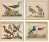 François Nicolas Martinet, Auktion 479, Los 33, Kolorierte Kupferstiche auf Papier