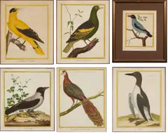 Auktion 479, Los 34 by François Nicolas Martinet, Kolorierte Kupferstiche auf Papier, sold Jan 2022