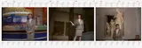 Andrea Fraser, Museum Highlights: A Gallery Talk, 1989/2003, Single-channel Video (Farbe; 30 Minuten) bestehend aus 1 Digital Betacam (PAL) und 1 DVD.