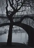 Pentti Sammallahti, Paris
