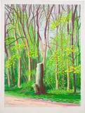 David Hockney, The Arrival of Spring in Woldgate, East Yorkshire in 2011 (twenty eleven) - 19 April, iPad drawing in colours on wove paper