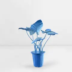 Coconut Grove Plant by Daniel Arsham, 2019, bronze, paint, offered Nov 2023