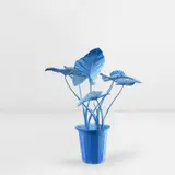 Daniel Arsham, Coconut Grove Plant, 2019, bronze, paint