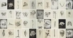 Agus Suwage, Eros Kai Thanatos #1, 2010, watercolour and tobacco juice on paper, in 40 parts