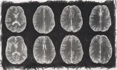 Ye Linghan, #27, 2007, charcoal and pigment on paper