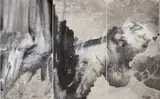 Zheng Chongbin, Untitled, 2010, ink and acrylic on paper