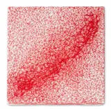 Chiharu Shiota, Skin, 2016, thread on canvas