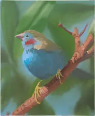 Ann Craven, Baby Cordon Bleu, 1997, oil on linen