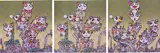 Three works: (i) Panda Cubs Pandas; (ii) Pandas Panda Cubs Pandas; (iii) Panda Cubs Panda Cubs by Takashi Murakami, offset lithographs in colours with cold stamp on paper, sold Feb 2022