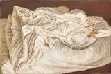 Qin Qi, White Goose, 2014, oil on canvas