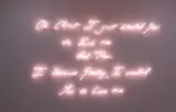 I Wanted You by Tracey Emin, 2009, pink neon, sold Jun 2021