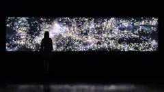 Flowers and People - Dark by teamLab, 2015, interactive digital work, 3-8 channels, endless, sound: Hideaki Takahashi, sold Jun 2021