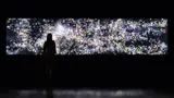 teamLab, Flowers and People - Dark, 2015, interactive digital work, 3-8 channels, endless, sound: Hideaki Takahashi