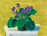 David Hockney, Bridlington Violets, 1989, oil on canvas