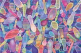 Yuxing Huang, Floating Bubbles