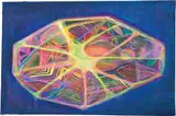 Yuxing Huang, Meteorite with Life