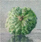 Jeng Jundian, Sakya 2, 2007, oil on canvas