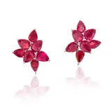 Anton Graff, A Pair of Ruby Earrings