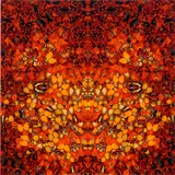 Damien Hirst, Fire