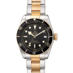 Tudor, A fine two tone stainless steel and yellow gold diver’s wristwatch with center seconds, date, bracelet, guarantee and presentation box, Circa 2017