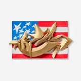 Man One, Untitled (from the American Flag series)