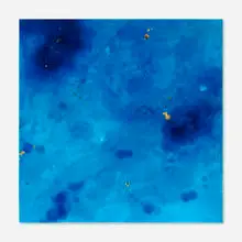 Peter Alexander, Temec, 2006, oil, metal flake and resin on aluminum