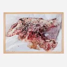 Tamara Kostianovsky, War Map 1846-1848, 2012, C-print mounted to Sintra