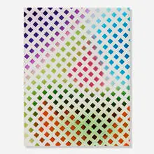 Sam Falls, Untitled (Painted Photograms, Lattice 62), 2013, acrylic on C-print mounted to acrylic