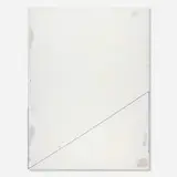 Jens Einhorn, ...But We Do It Anyway, 2015, glue and mesh on primed canvas with rope