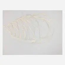 Sarah Lovitt, Untitled, 2001, oil and charcoal on mylar