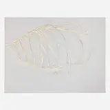 Sarah Lovitt, Untitled, 2001, oil and charcoal on mylar