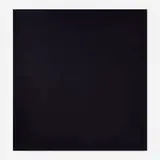 Julia Rommel, Dots Are Coming Out of Our Furniture, 2011, oil on polyester