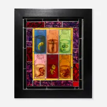 Judith Schaechter, Untitled (Specimens), 2004, sandblasted, engraved, and enameled stained glass