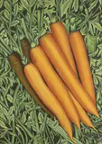 Carrots by American School, CARROTS, oil on canvas, sold Sep 2014