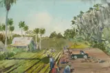 Gifford Alexander Cochran, FLORIDA JUNGLE and WORKING THE FIELDS, first; signed and dated '59 lower left and titled verso, Watercolor