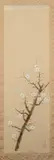Shundei Nakamura, White Prunus, Ink and color on silk scroll, signed and sealed