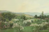 Katherine Langdon Corson, Field of Flowers with Distant Hills, Oil on canvas