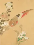 Anonymous, "Bird in Branch", Ink and color on paper