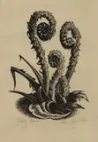 Clare Leighton, Young Ferns